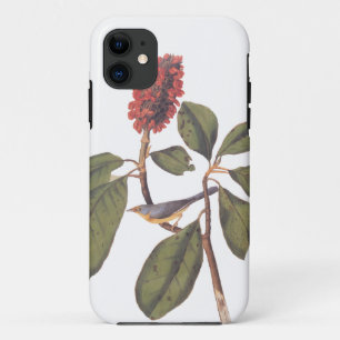 Bonaparte Flycatcher Canada Warbler Audubon Bird Case-Mate iPhone Hülle
