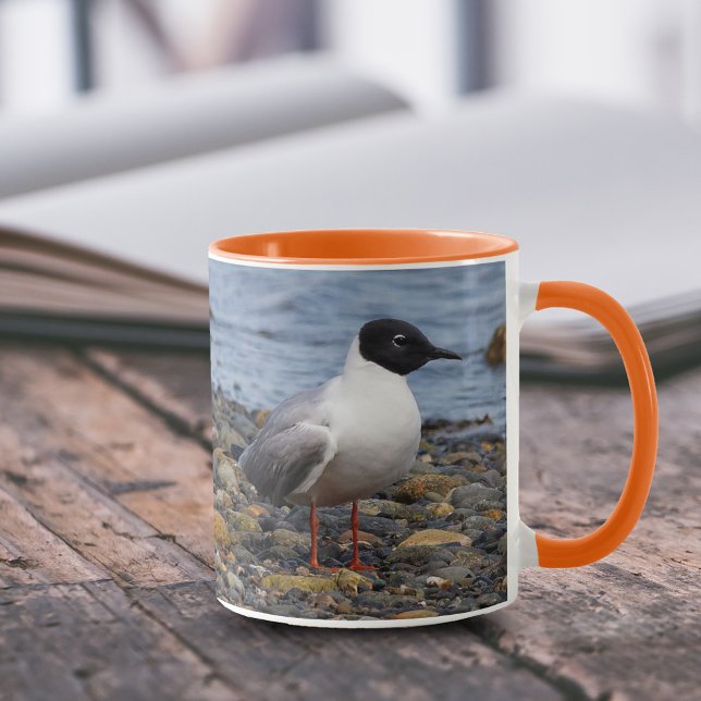 Bonaparte's Gull am Strand Tasse (Bonapartes Gull at Beach 11 oz Coffee Mug Cover Photo)