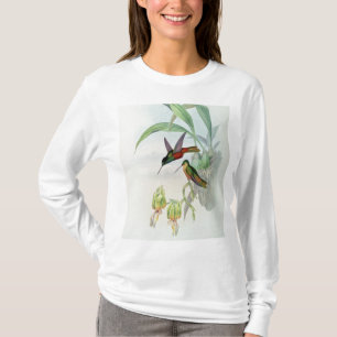 Bonapartes Stern konfrontierte den Kolibri T-Shirt