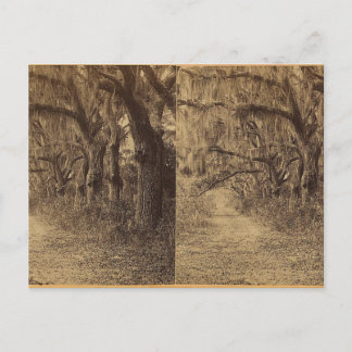 Bonaventura Friedhof, Savannah, Ga. c) 1863 Postkarte