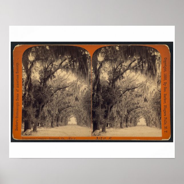 Bonaventure Friedhof, Savannah, Ga c. 1887 Poster (Vorne)