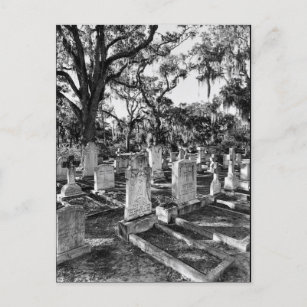 Bonaventure Friedhof, Savannah GA Postkarte