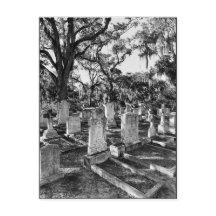 Bonaventure Friedhof, Savannah GA