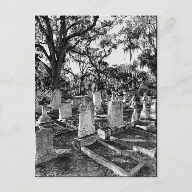 Bonaventure Friedhof, Savannah GA Postkarte (Vorderseite)