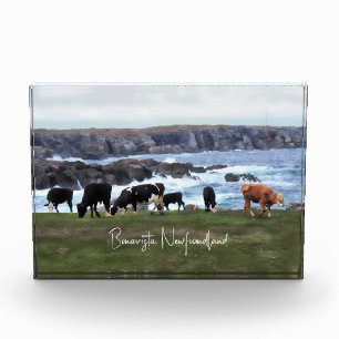 Bonavista Neufundland Fotoblock