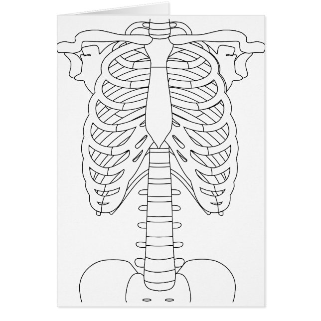 bone_01 (Vorne)