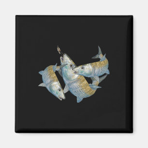Bonefish-Jagd Ein Salz Wasser Fliegenfischen & Magnet