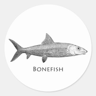 Bonefish Logo Runder Aufkleber
