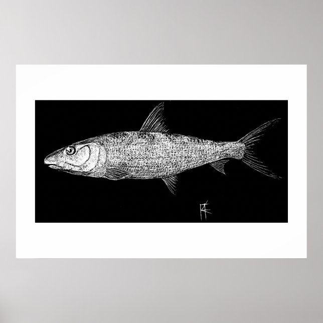 Bonefish Scratch Art Poster (Vorne)
