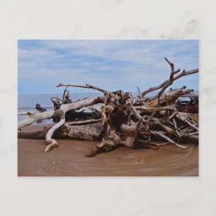 Boneyard Beach Postkarte
