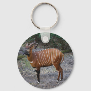 Bongo (Antelope) Schlüsselanhänger