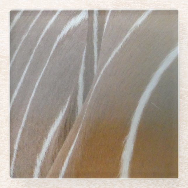 Bongo Antelope Skin Pattern Glass Untersetzer (Vorderseite)