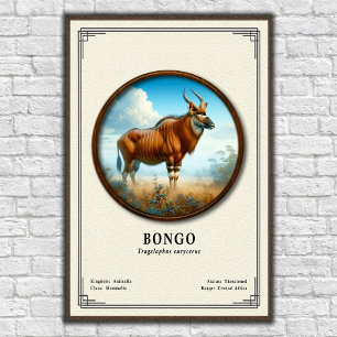 Bongo Zoologie-Serie Poster