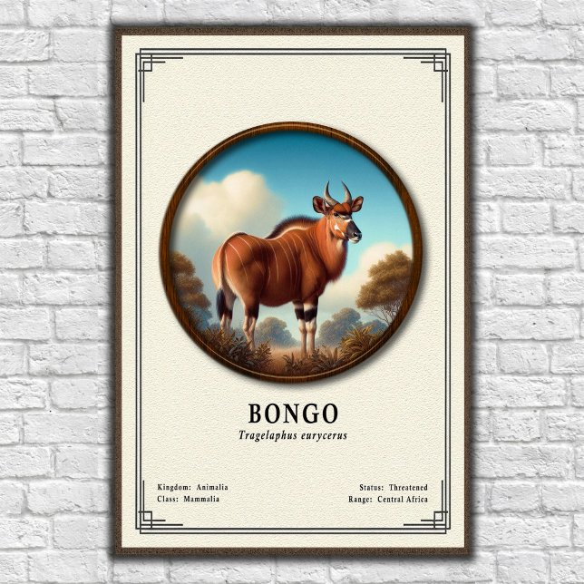 Bongo Zoologie Serie Poster (Von Creator hochgeladen)