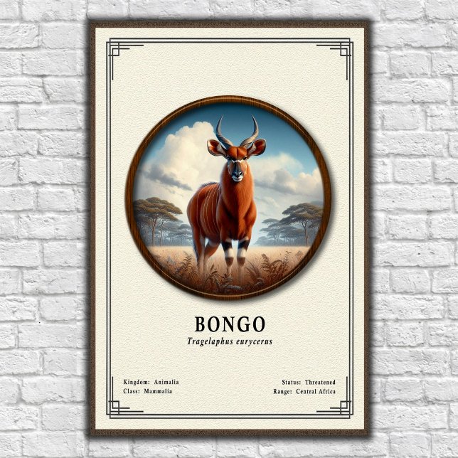 Bongo Zoologie Serie Poster (Von Creator hochgeladen)