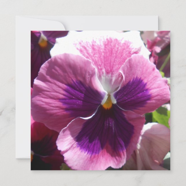 Bonheur (Vorderseite)