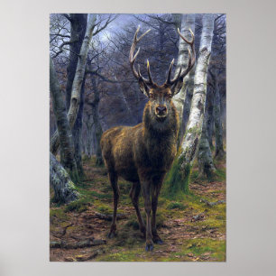 Bonheur - Der König des Waldes Poster