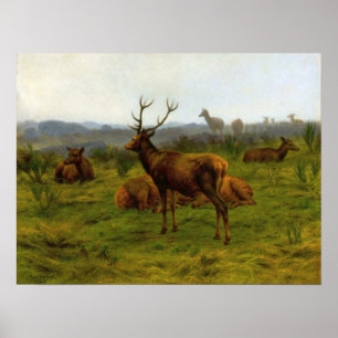 Bonheur - Der Monarch der Packung Poster