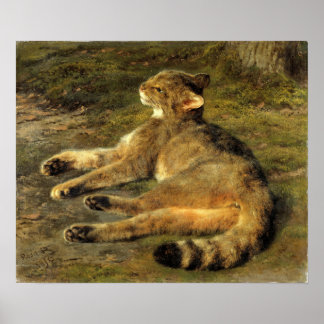 Bonheur - Wild Cat Poster