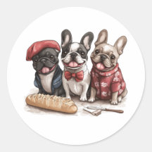Bonjour Französische Bulldoggen