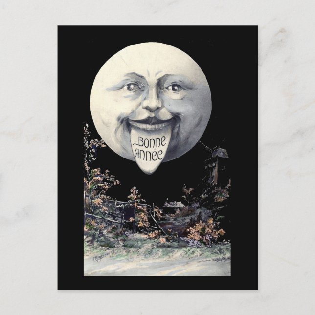 Bonne Annee — Glückliches neues Jahr Feiertagspostkarte (Vorderseite)