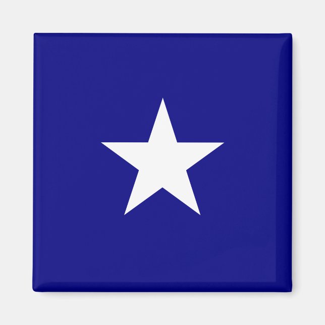 Bonnie Blue Flag Magnet (Vorne)