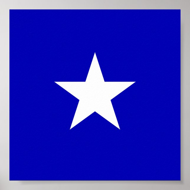 Bonnie Blue Flag Poster (Vorne)