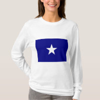 Bonnie Blue Flag