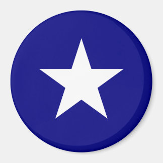 Bonnie Blue Flag White Star Magnet