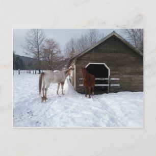 Bonnie & Clyde Postkarte