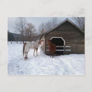 Bonnie & Clyde Postkarte