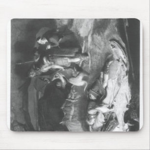 Bonnie-Prinz Charlie beim Verstecken Mousepad