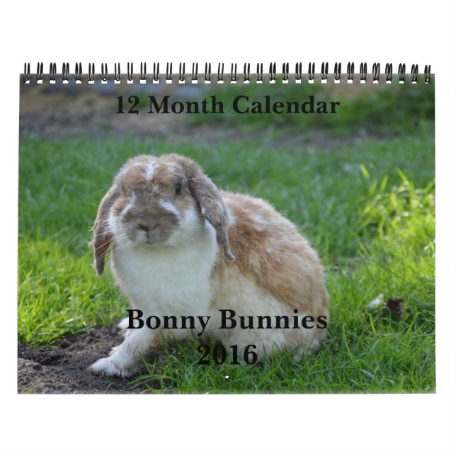 Bonny Bunnies 12 Monatskalender 2016 Kalender (Titelbild)