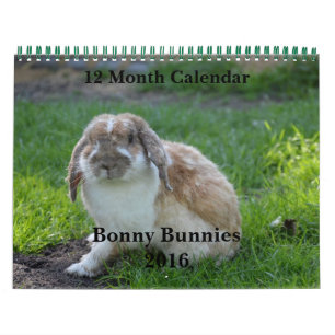 Bonny Bunnies 12 Monatskalender 2016 Kalender
