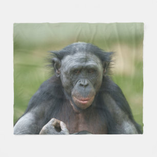 Bonobo Contemplation Fleecedecke