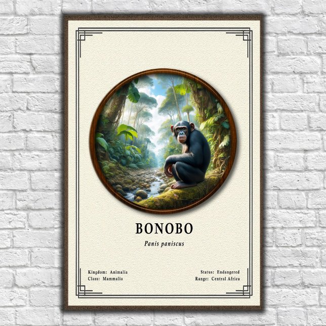 Bonobo-Zoologie-Serie Poster (Von Creator hochgeladen)