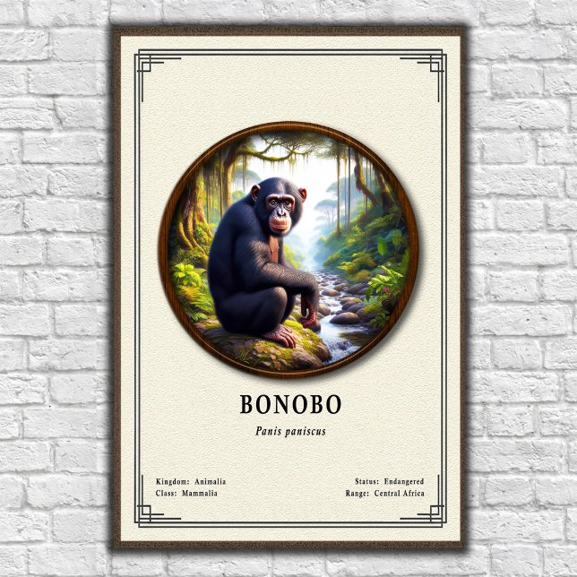 Bonobo Zoology Series Poster (Von Creator hochgeladen)