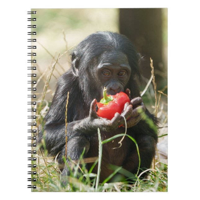 Bonobos Picnic Notizblock (Vorderseite)