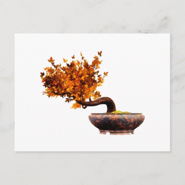 Bonsai 2 postkarte (Vorderseite)