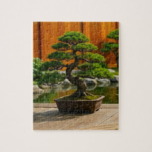 Bonsai-Baum des Drachen der Balance Puzzle