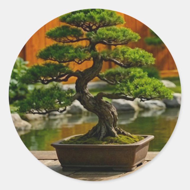 Bonsai-Baum des Drachen der Balance Runder Aufkleber (Vorderseite)