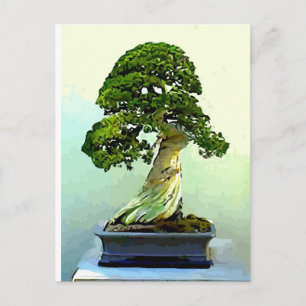 Bonsai Cypress Tree Postkarte