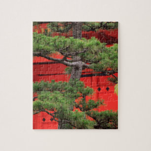 Bonsai-Kiefer Puzzle