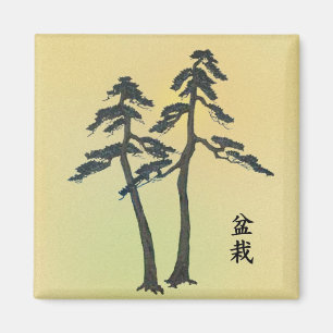 Bonsai Magnet