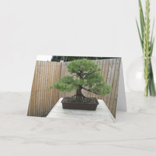 Bonsai Mugo Pine Danke-Karte Dankeskarte
