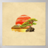 Bonsai Pine Tree - Fuji Sunset in Farbe