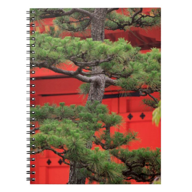 Bonsai Pine Tree Notizblock (Vorderseite)