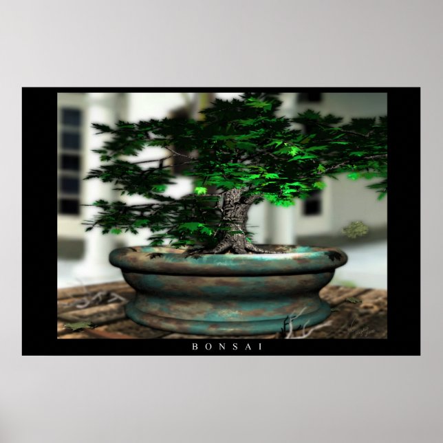 Bonsai Poster (Vorne)
