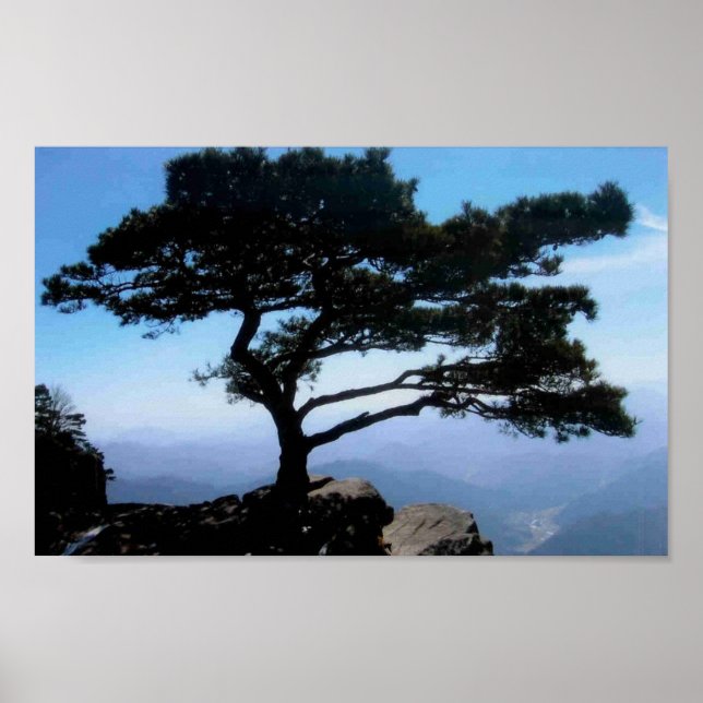 ‚Bonsai‘ Poster (Vorne)