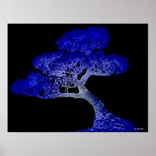 Bonsai Print Poster